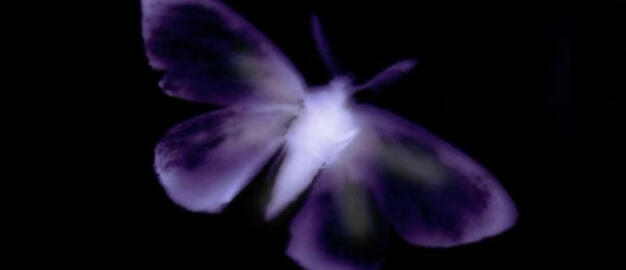 &quot;let&#39;s keep it discreet, sneaking out the backdoor&quot;