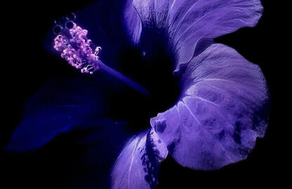 "I pray to him, I'm missin' dear god, i hope you're listenin'"